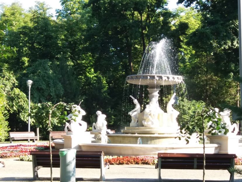  - Cluj 2017
