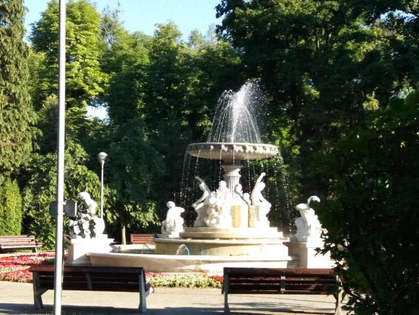  - Cluj 2017