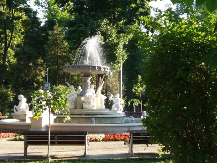  - Cluj 2017