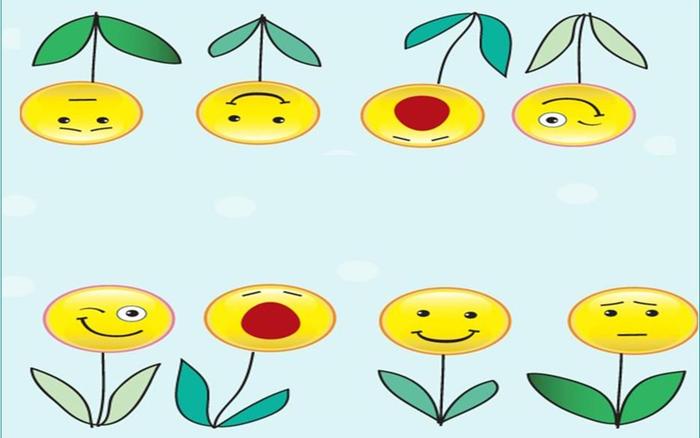 Smiley-Garden - Smiley Wallpapers