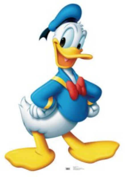 donald-duck - Animale desenate
