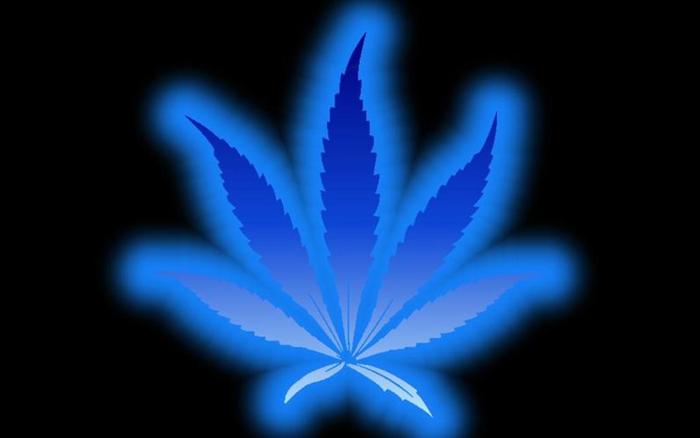 Blue-Weed - Marijuana Wallpapers