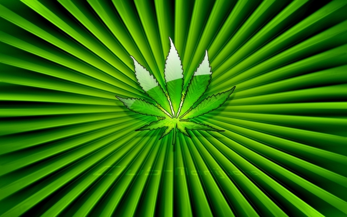 Green_Weed - Marijuana Wallpapers
