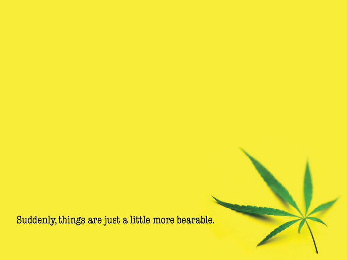 bearable_by_kabirkashyap