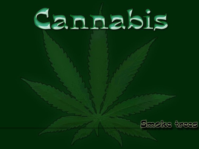 Cannabis