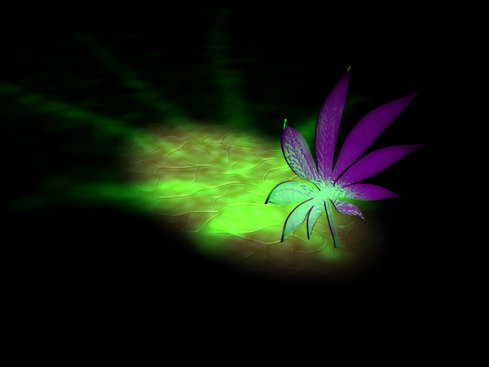 Effects_of_marijuana