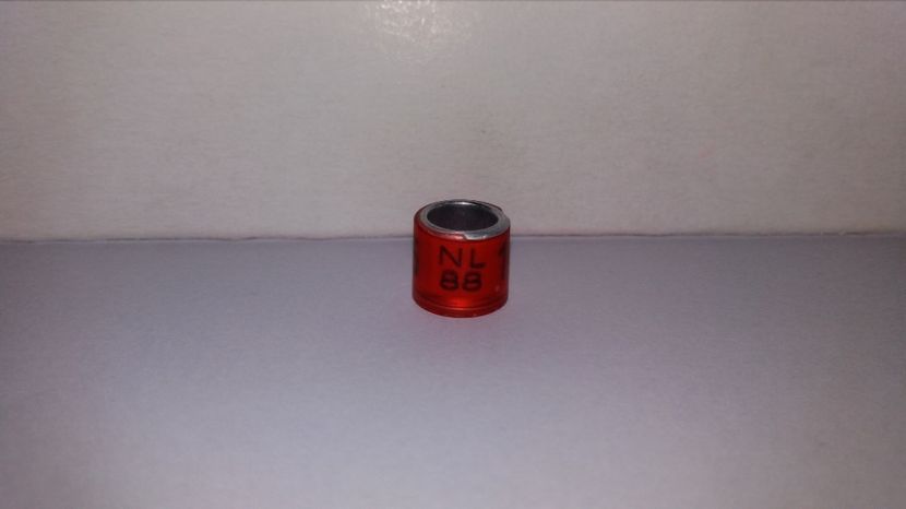  - Inele Olanda - 69 piese