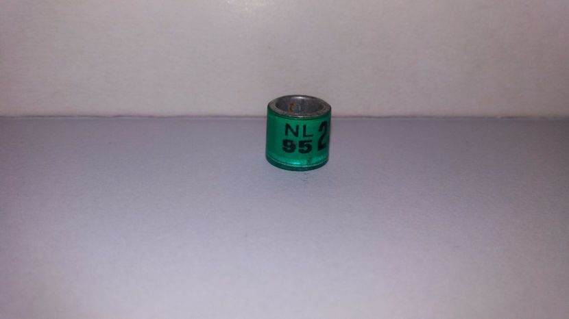  - Inele Olanda - 69 piese