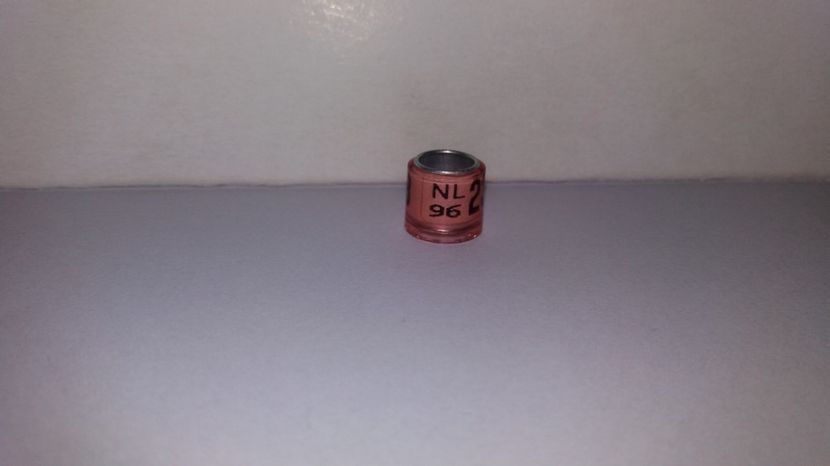  - Inele Olanda - 69 piese