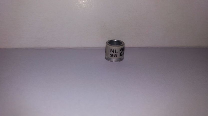  - Inele Olanda - 69 piese