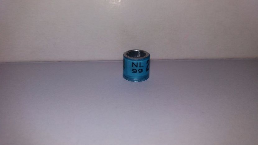  - Inele Olanda - 69 piese