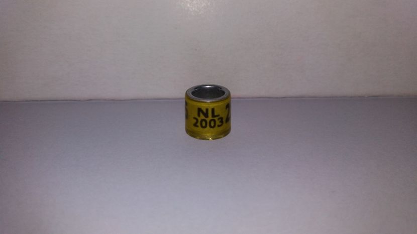  - Inele Olanda - 69 piese