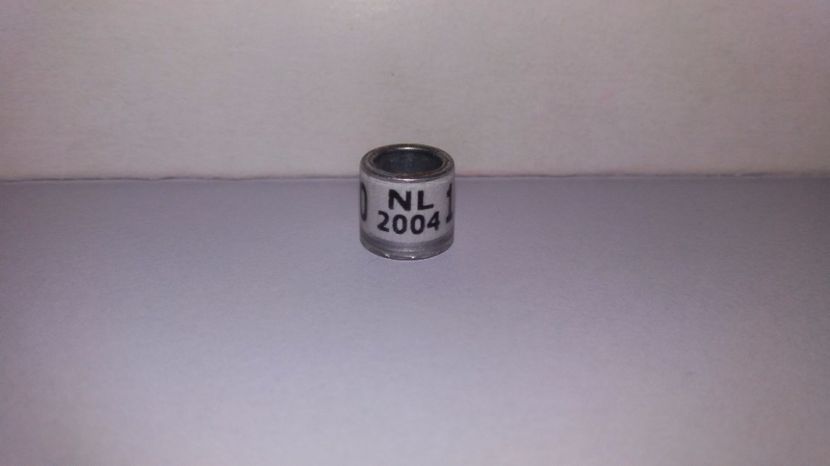  - Inele Olanda - 69 piese