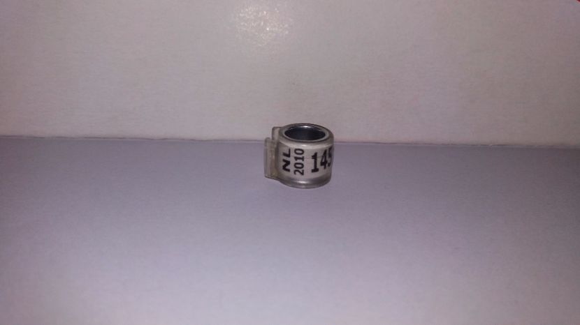  - Inele Olanda - 69 piese