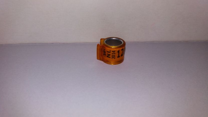  - Inele Olanda - 69 piese