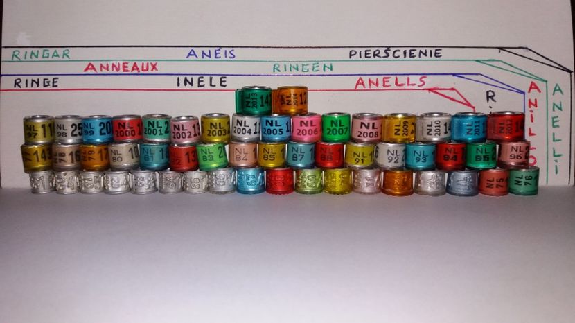  - Inele Olanda - 69 piese