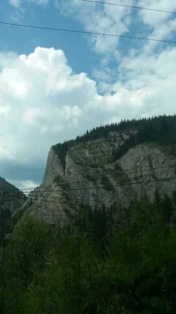  - La munte