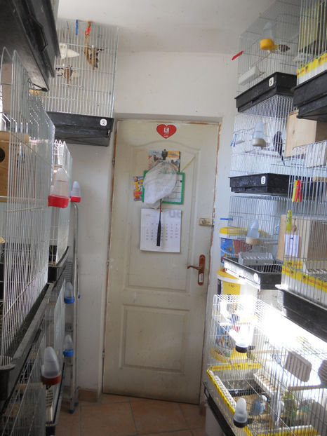  - CEVA NOU IN PROPRIA CRESCATORIE