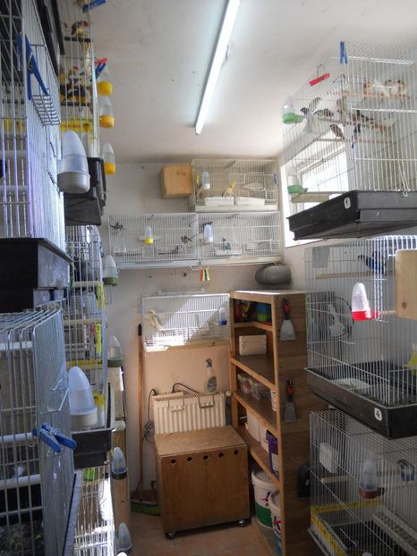  - CEVA NOU IN PROPRIA CRESCATORIE