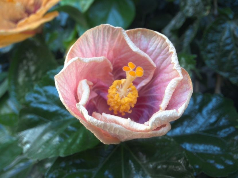 WIN_20170721_101734 - Barry Schlueter