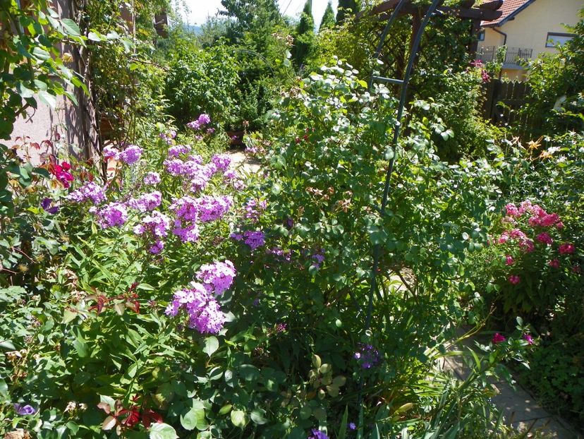 20 iul 052 - Vara 2017