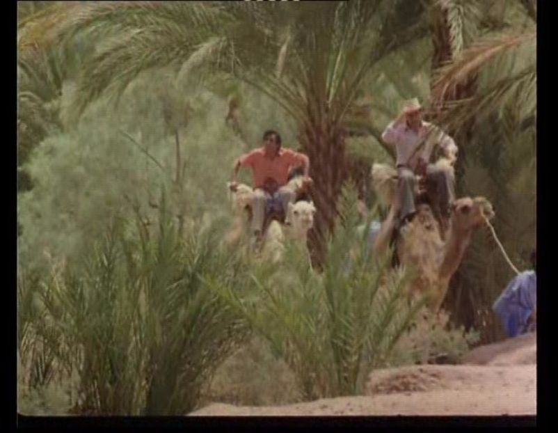 Cuibul Salamandrelor - Cuibul Salamandrelor 1976