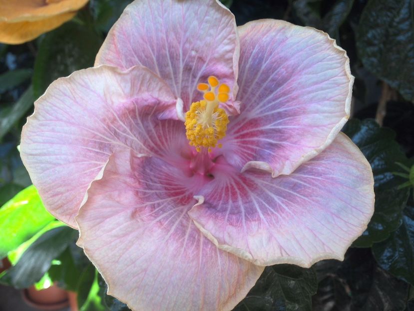 WIN_20170721_110759 - Barry Schlueter