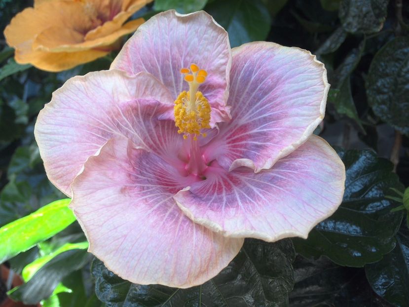 WIN_20170721_110823 - Barry Schlueter