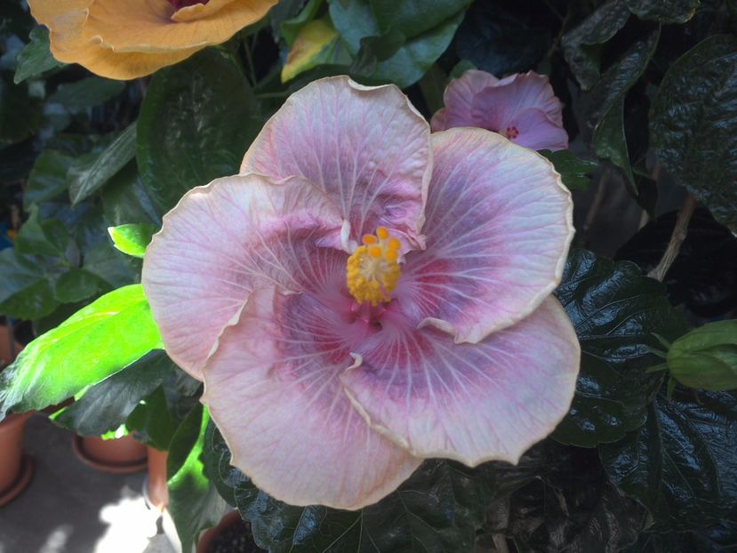 WIN_20170721_110830 - Barry Schlueter