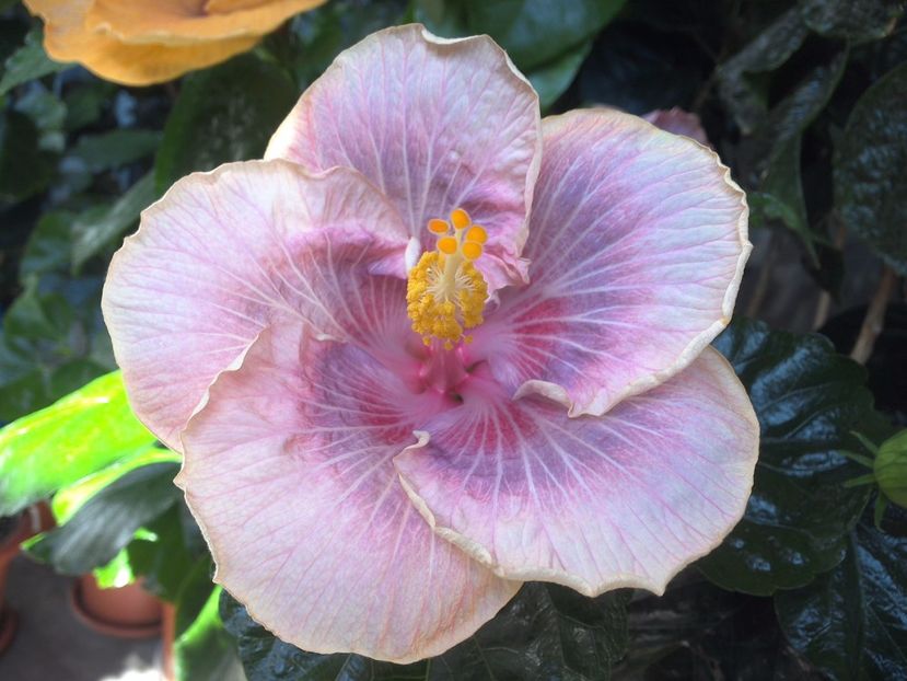 WIN_20170721_110828 - Barry Schlueter