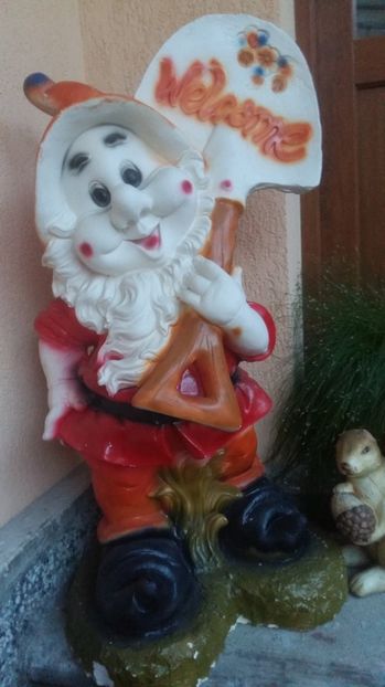 1500660555283-1510857383 - 2017 MUSCATE ZONALE SI CURGATOARE