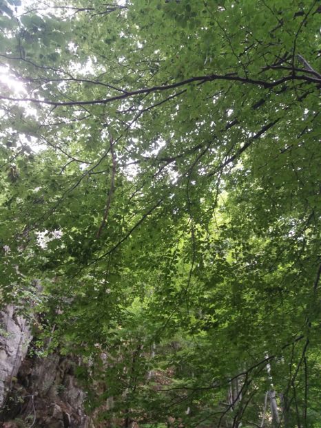  - La țară în iulie 2017