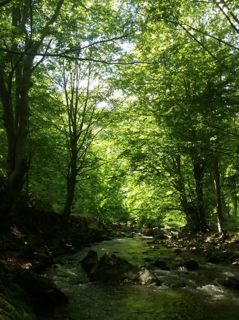  - La țară în iulie 2017