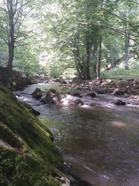  - La țară în iulie 2017