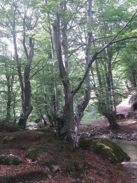  - La țară în iulie 2017