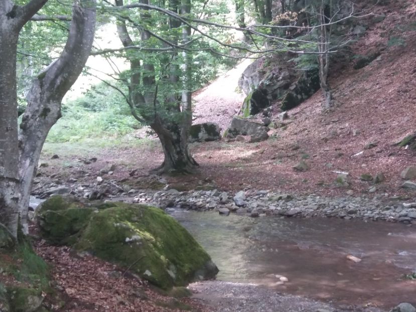  - La țară în iulie 2017