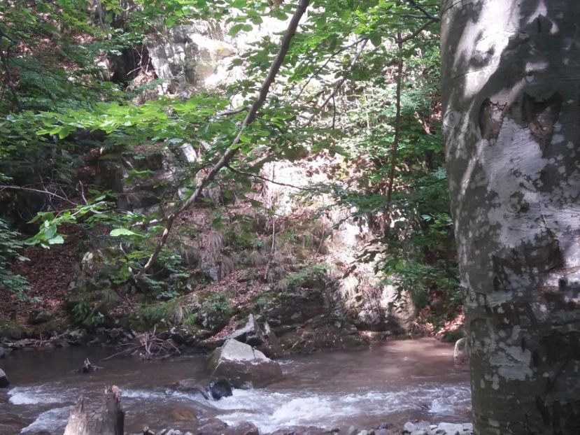  - La țară în iulie 2017