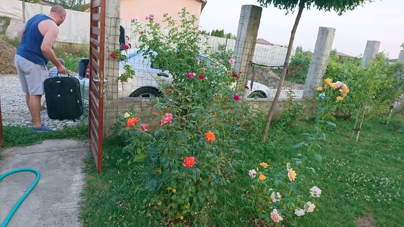  - AA - In  gradina mea