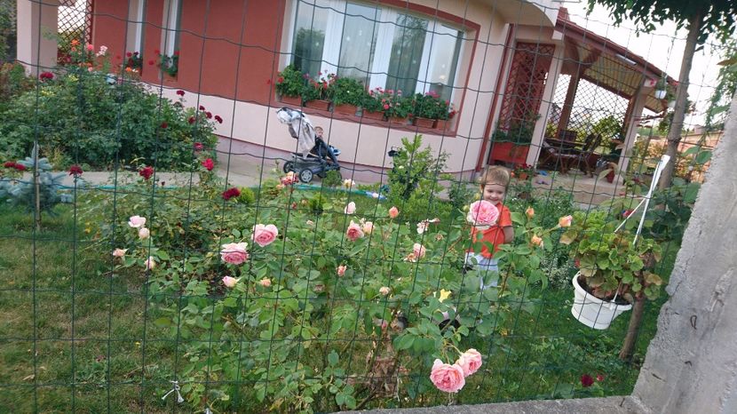  - AA - In  gradina mea