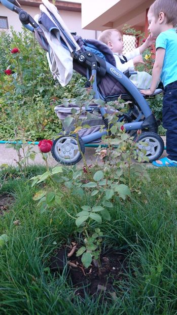  - AA - In  gradina mea