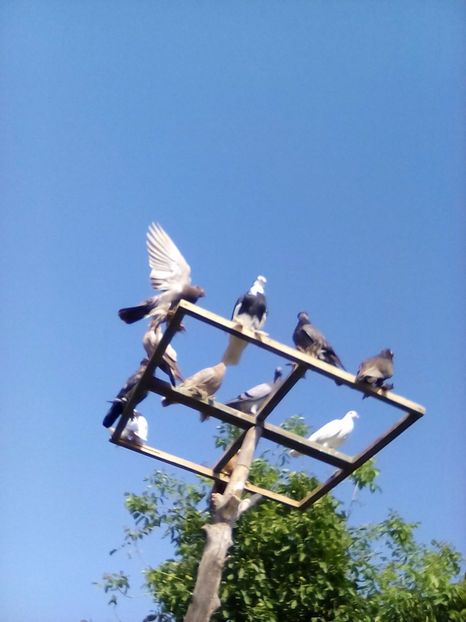  - Deasupra noastra e doar cerul