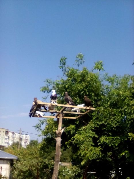  - Deasupra noastra e doar cerul