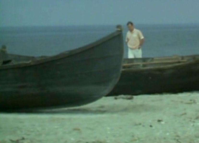 Faleze De Nisip - Faleze De Nisip 1983