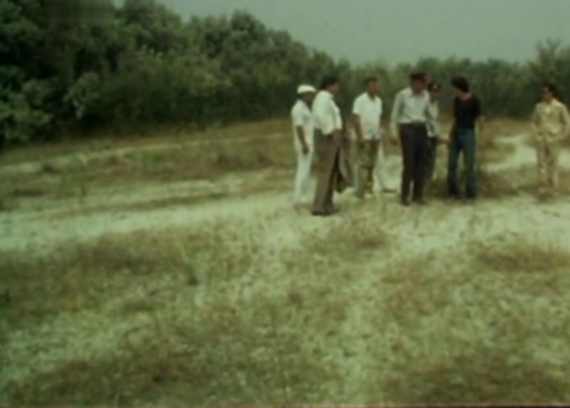 Faleze De Nisip - Faleze De Nisip 1983