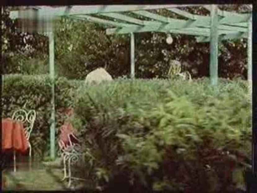 Nu Filmam Sa Ne-Amuzam - Nu Filmam Sa Ne-Amuzam 1975