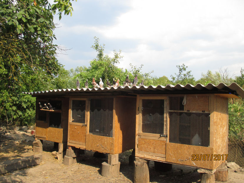  - 1 ROLLER DE BIRMINGHAM 2017