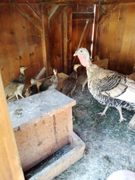  - 9-----------In vizita la popion66