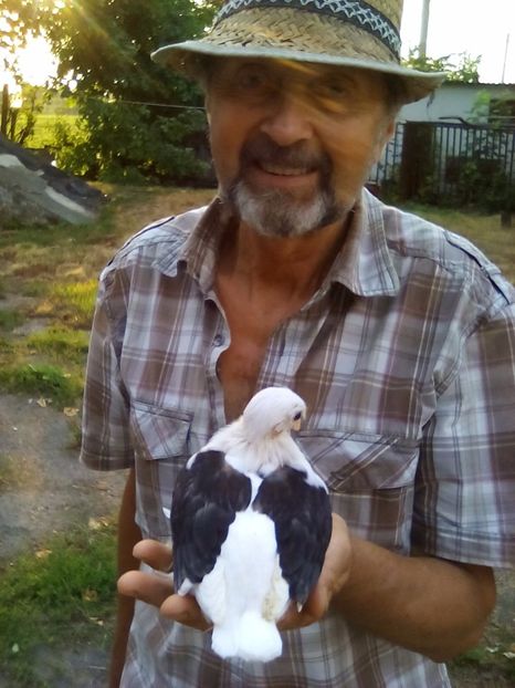  - Jucatorul de Botosani CAPACE COLORATE