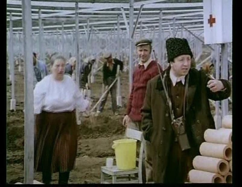 Iarna Bobocilor - Iarna Bobocilor 1977