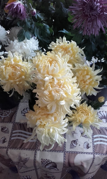  - Tufanele si crizanteme